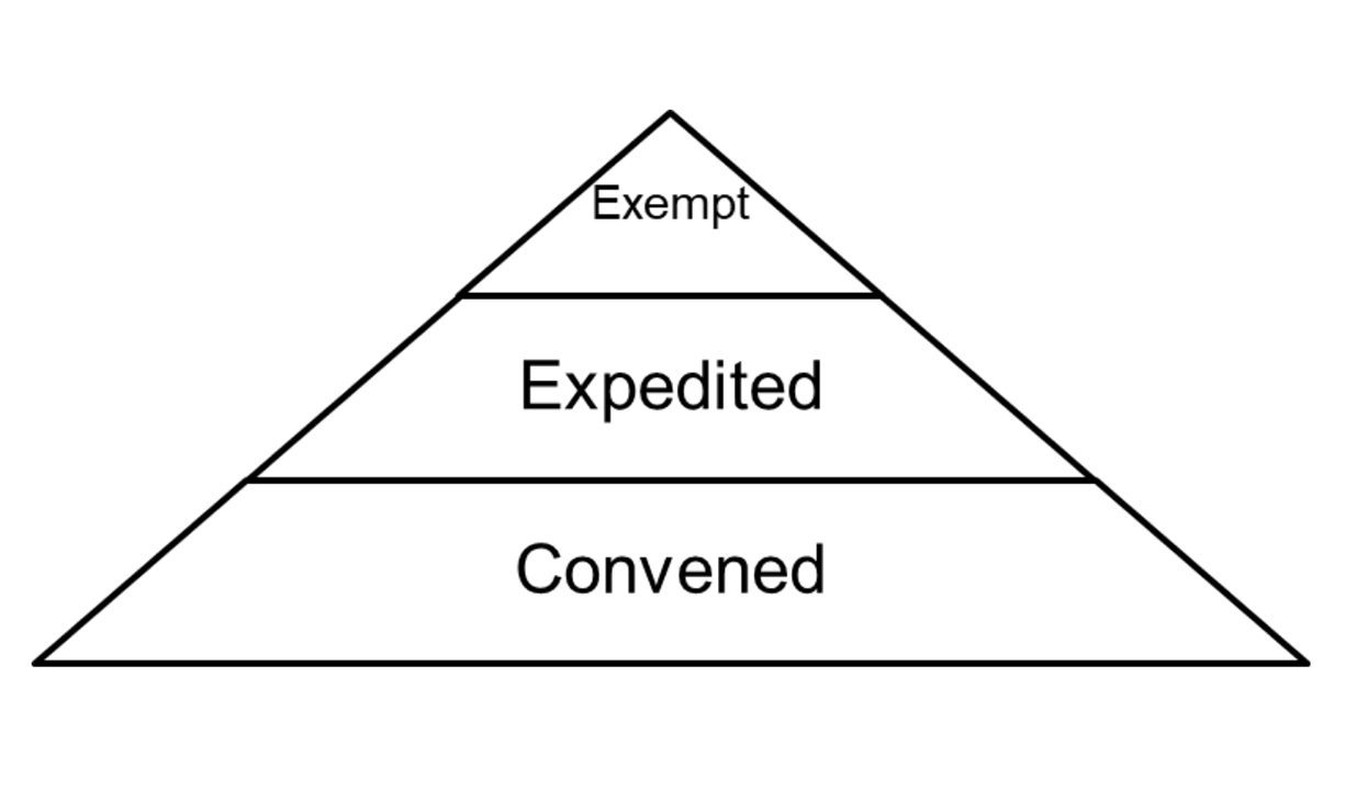 levels of IRB review pyramid graphic